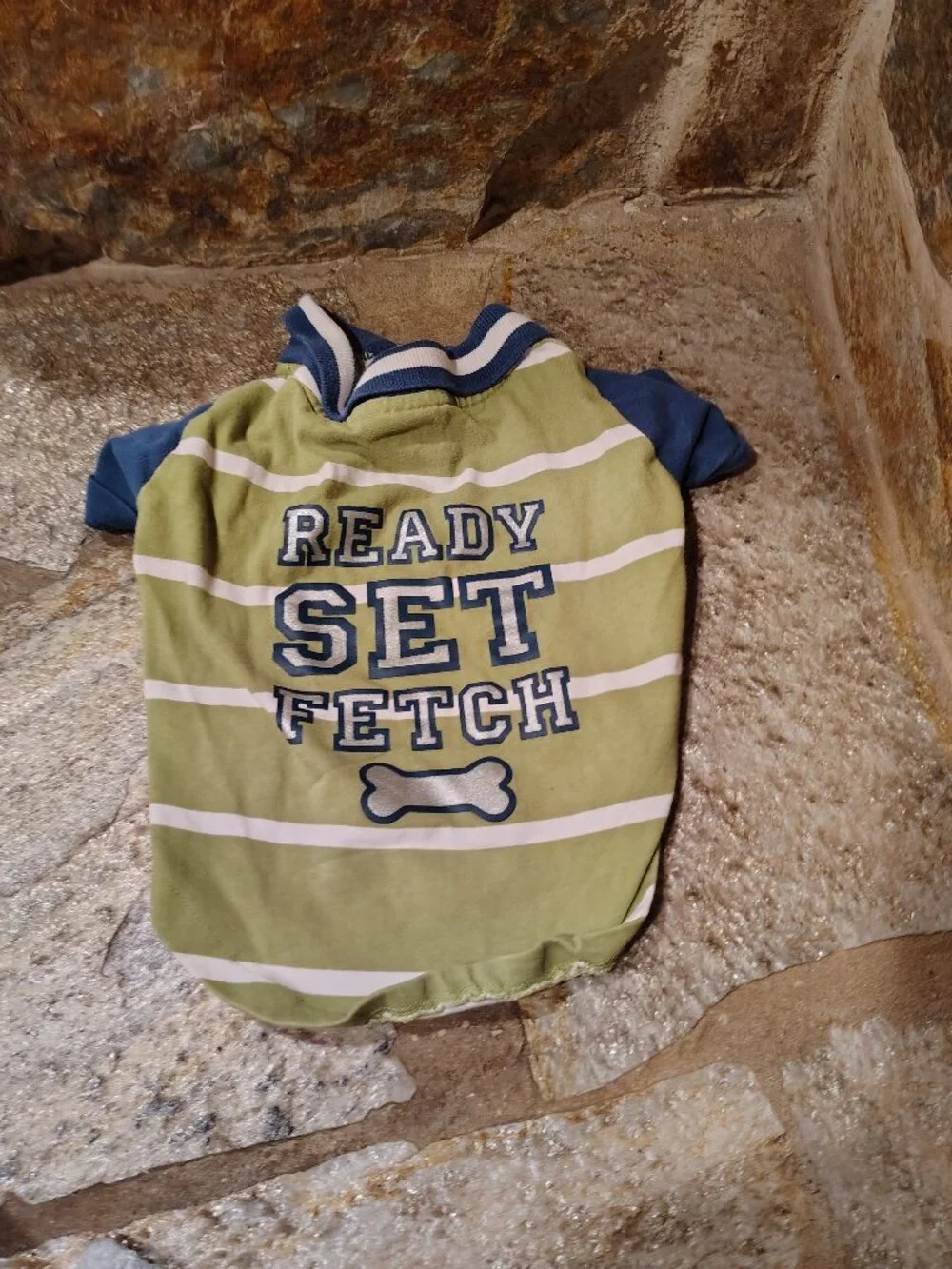 Martha Stewart Pets Dog Polo Size Medium Ready Set Fetch